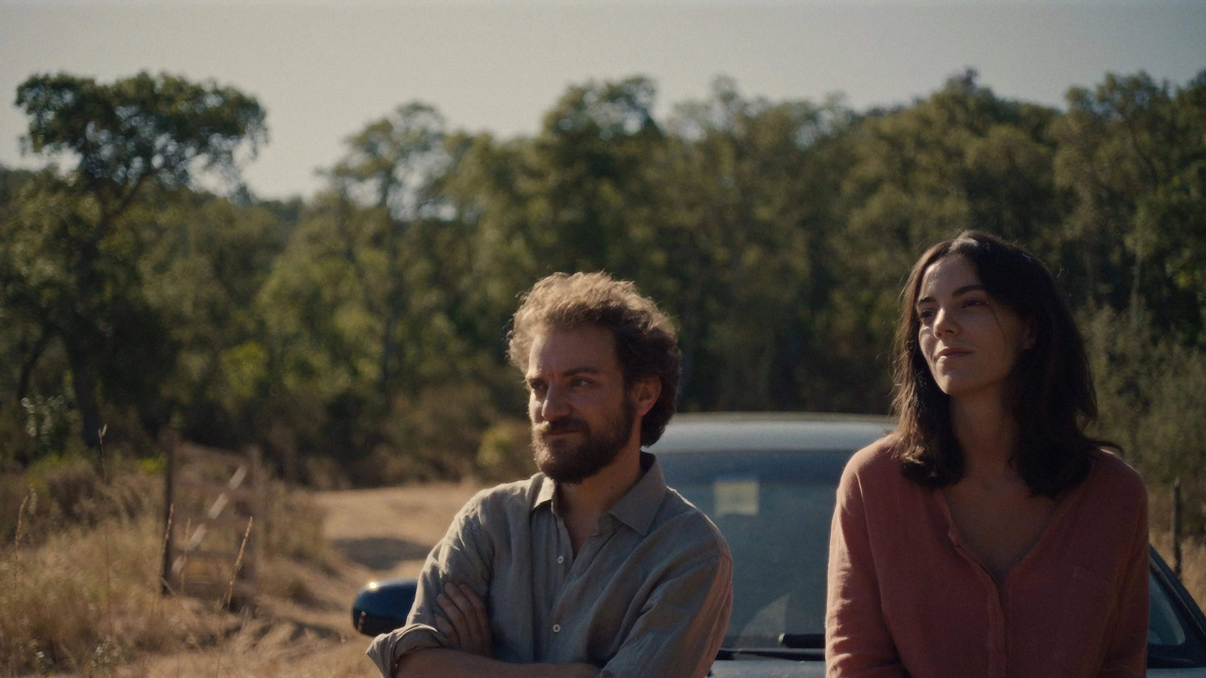 Cây Sồi Bần Full