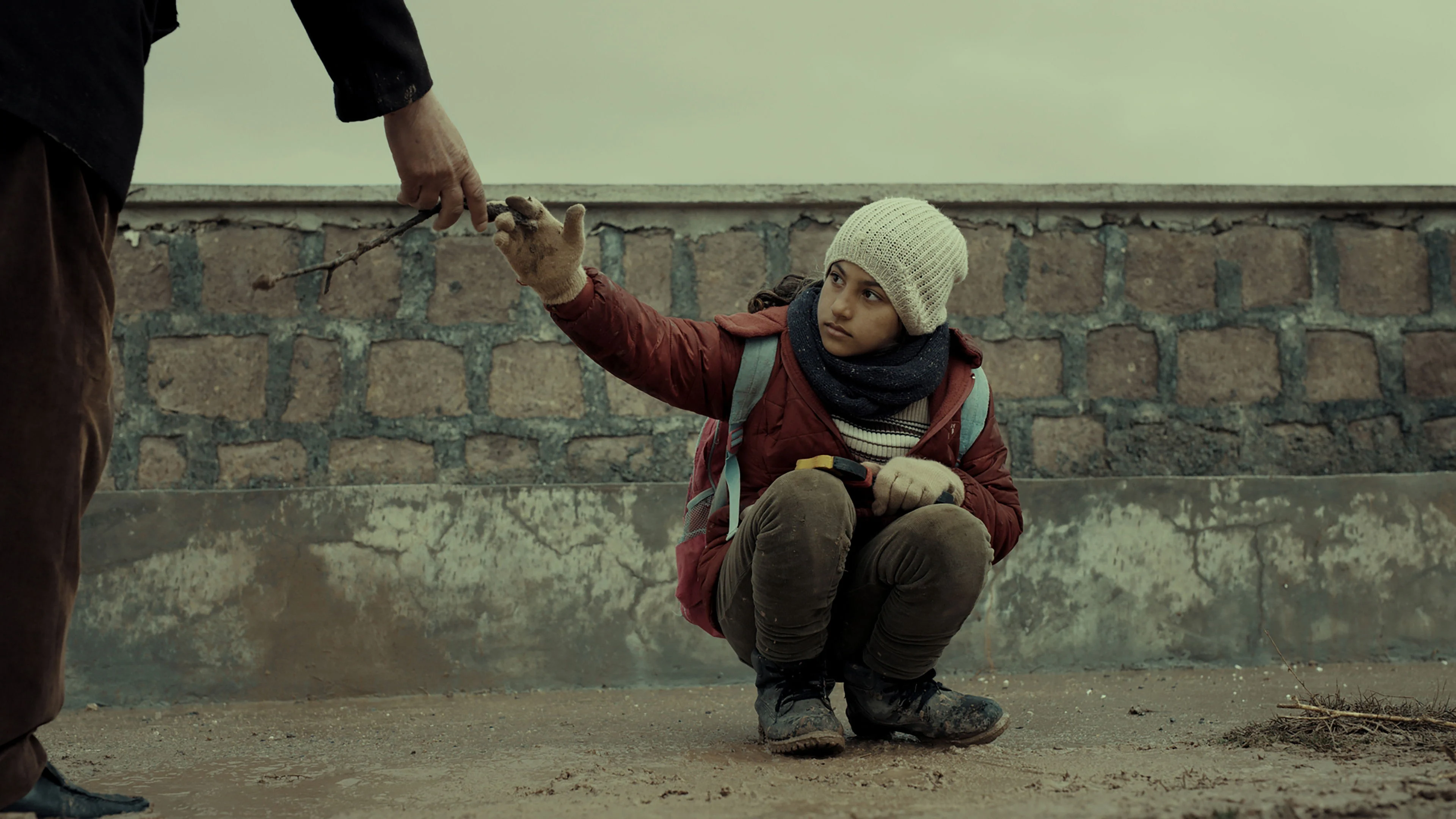 Đinh Hương Và Cẩm Chướng Full